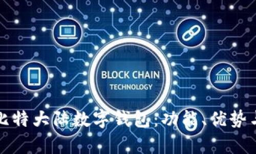 全面解析比特大陆数字钱包：功能、优势与使用指南