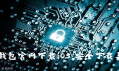 老版本TP钱包官网下载iOS：安全下载与使用指南
