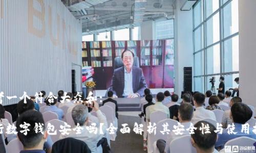 思考一个符合大众和:

建行数字钱包安全吗？全面解析其安全性与使用技巧