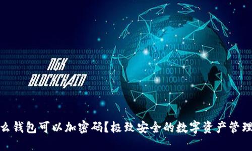 : 什么钱包可以加密码？极致安全的数字资产管理工具