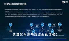 苹果钱包密码到底是数字