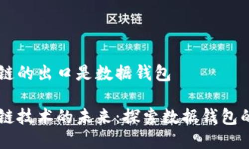 区块链的出口是数据钱包

区块链技术的未来：探索数据钱包的潜力