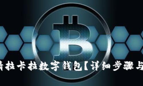  如何申请拉卡拉数字钱包？详细步骤与注意事项