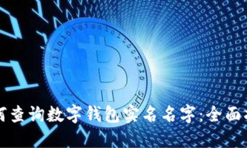 如何查询数字钱包实名名字：全面指南