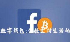 张家港数字钱包：便捷支