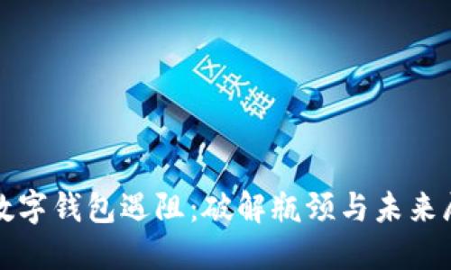 : 数字钱包遇阻：破解瓶颈与未来展望