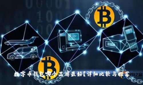数字币钱包哪个品牌最好？详细比较与推荐