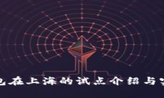 数字钱包在上海的试点介