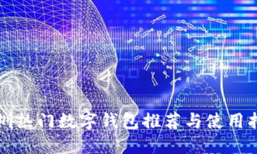 深圳热门数字钱包推荐与使用指南