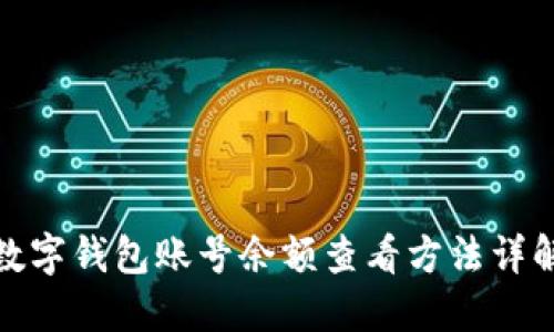 数字钱包账号余额查看方法详解