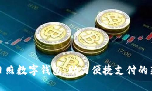 山东日照数字钱包：助力便捷支付的新选择