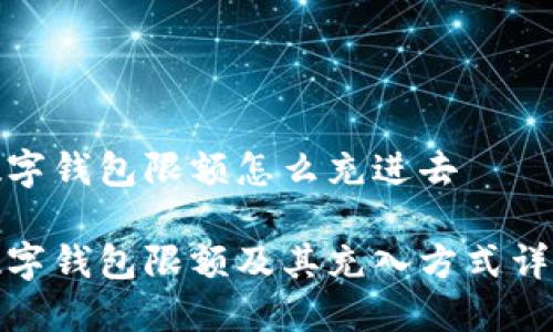 数字钱包限额怎么充进去

数字钱包限额及其充入方式详解