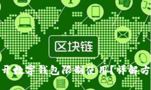 : 怎样解开数字钱包限制使用？详解方法与技巧