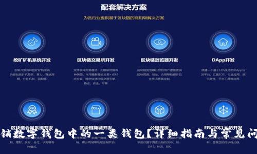 如何注销数字钱包中的一类钱包？详细指南与常见问题解答