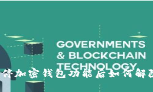 推特暂停加密钱包功能后如何解除限制？