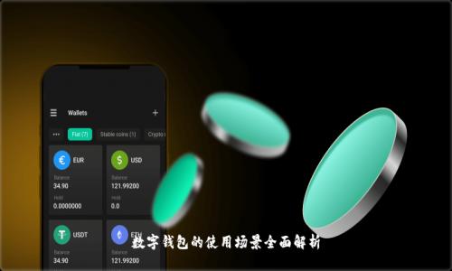 数字钱包的使用场景全面解析
