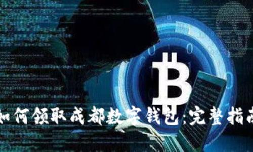 如何领取成都数字钱包：完整指南