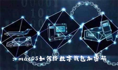 : macOS如何给数字钱包加密码
