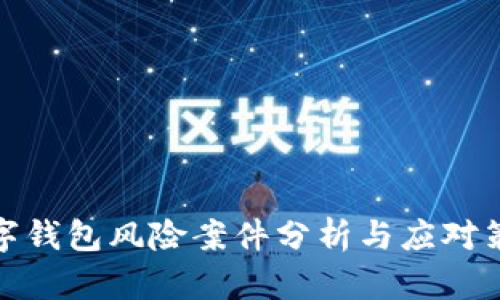 数字钱包风险案件分析与应对策略
