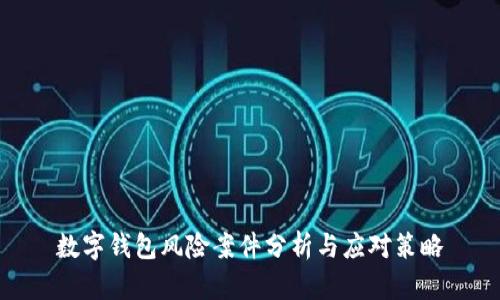 数字钱包风险案件分析与应对策略