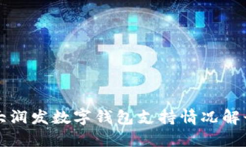 大润发数字钱包支持情况解读