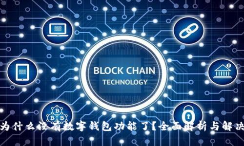 微信为什么没有数字钱包功能了？全面解析与解决方案