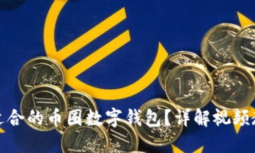 : 如何选择最适合的币圈数字钱包？详解视频教程与最佳实践