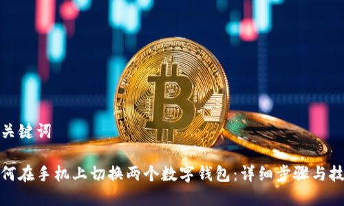 和关键词

如何在手机上切换两个数字钱包：详细步骤与技巧