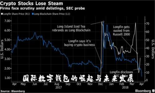 国际数字钱包的崛起与未来发展