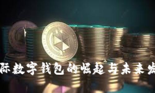 国际数字钱包的崛起与未来发展
