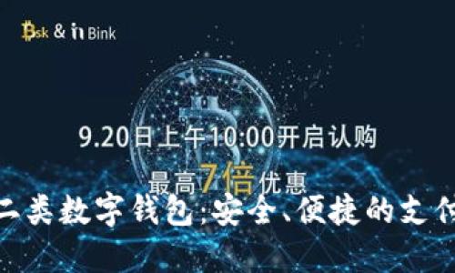: 工行二类数字钱包：安全、便捷的支付新选择