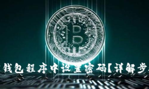 : 如何在加密钱包程序中设置密码？详解步骤与注意事项