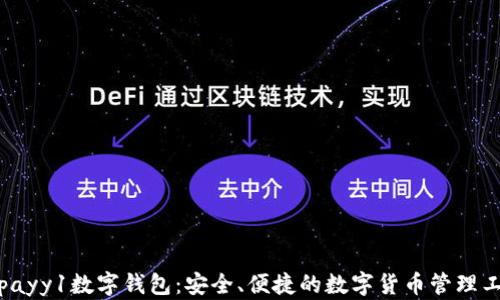 
Topayy1数字钱包：安全、便捷的数字货币管理工具