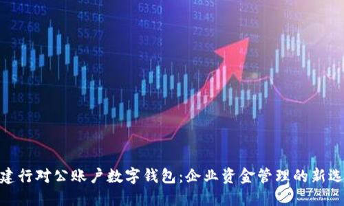 : 建行对公账户数字钱包：企业资金管理的新选择