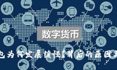 : 数字钱包为何发展缓慢？背后的原因与未来展望