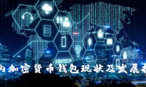 国内加密货币钱包现状及发展技巧