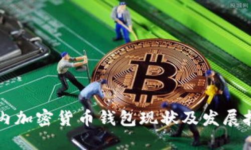 国内加密货币钱包现状及发展技巧