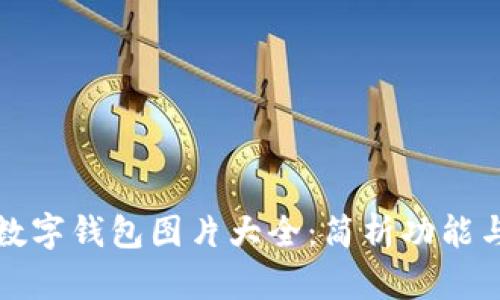 清华大学数字钱包图片大全：简析功能与使用场景