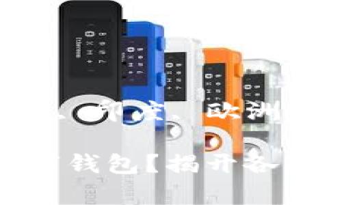 中国, 美国, 日本, 印度, 欧洲

哪个国家允许数字钱包？揭开各国数字支付的秘密